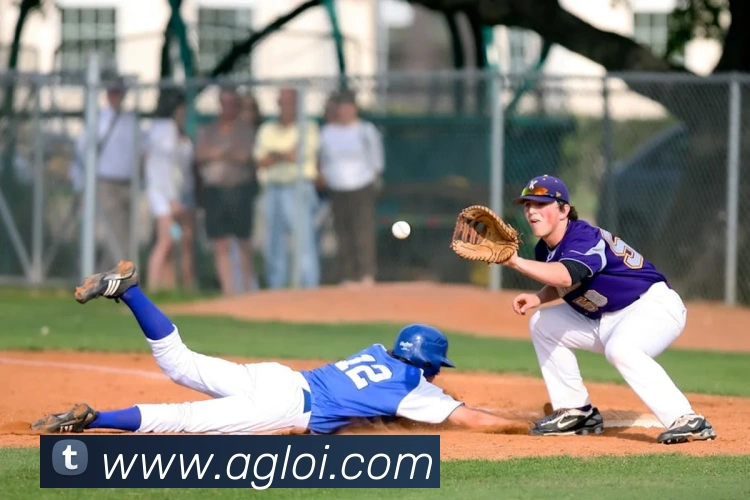 ag官网APP 封面图